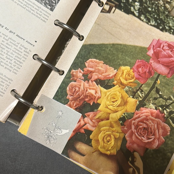 Vintage Better Homes and Gardens Garden Book 1954 - Picture 5 of 11